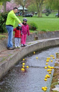 Duck Race - The Home Straight