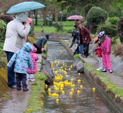 Duck Race - The Obstacle