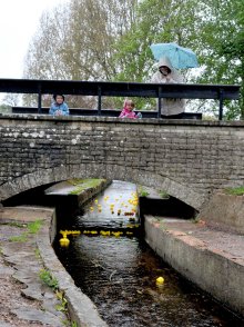 Duck Race - The Bridge