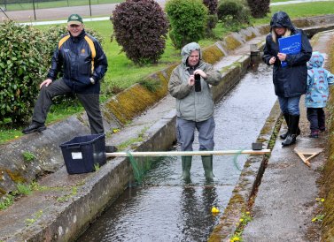 Duck Race - The Finish